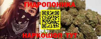 apvp Донской